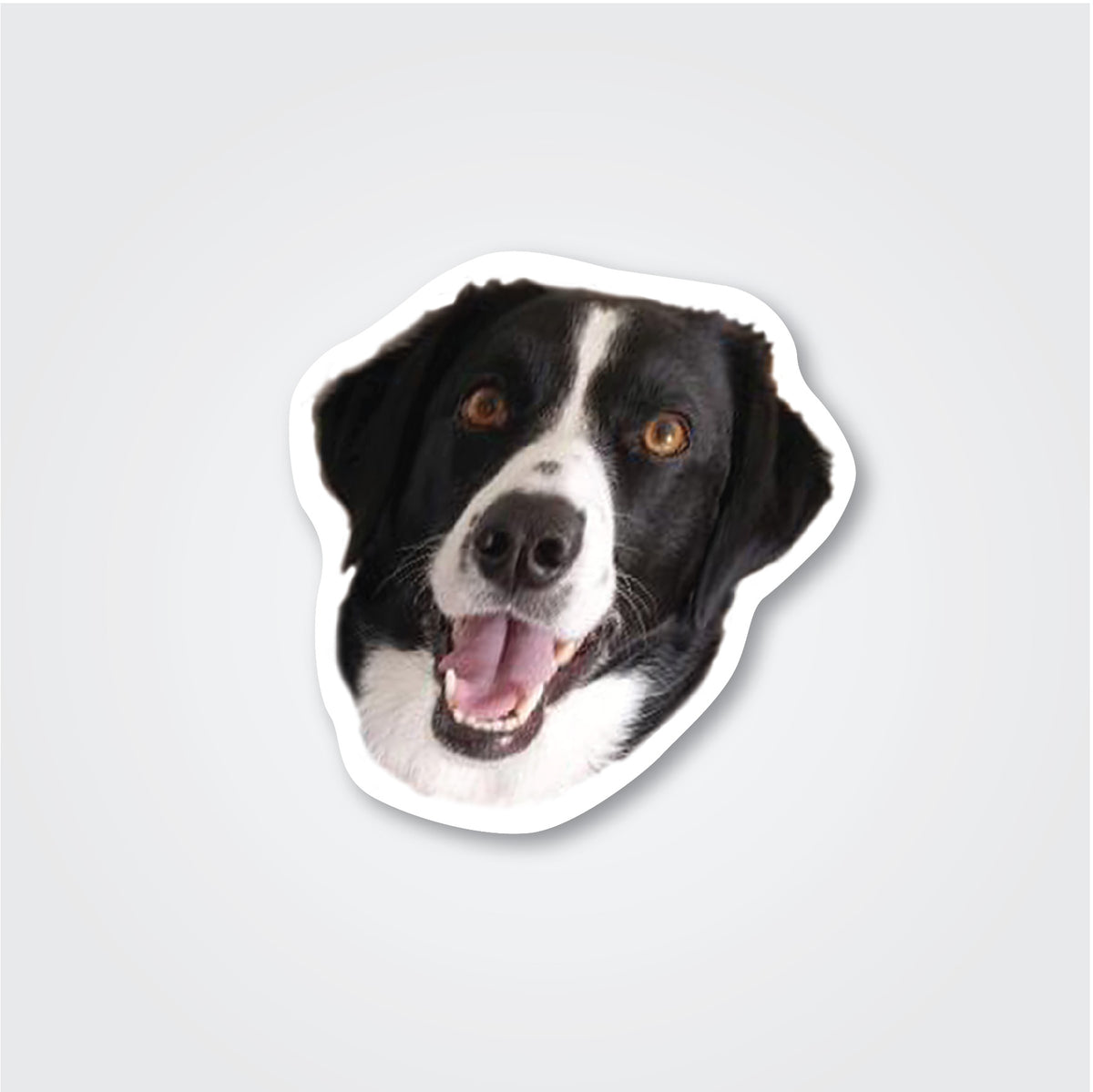 Transparent Shipping Sticker Custom Vinyl Stickers | Free Express Shipping | Sticker Warehouse