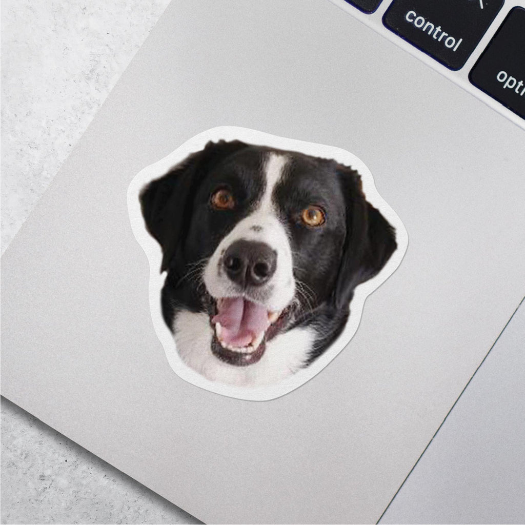 Pwet Sticker Custom Vinyl Die Cut Stickers | Free Express Shipping